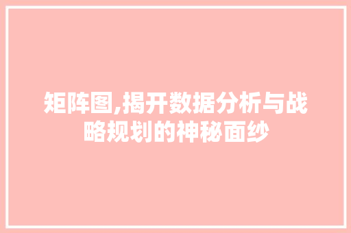 矩阵图,揭开数据分析与战略规划的神秘面纱