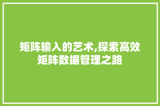 矩阵输入的艺术,探索高效矩阵数据管理之路