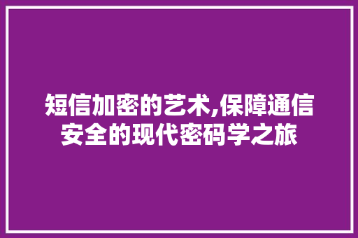 短信加密的艺术,保障通信安全的现代密码学之旅