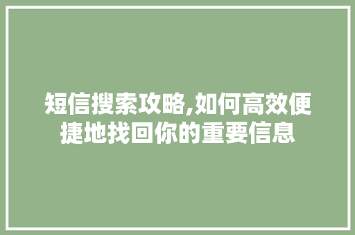 短信搜索攻略,如何高效便捷地找回你的重要信息