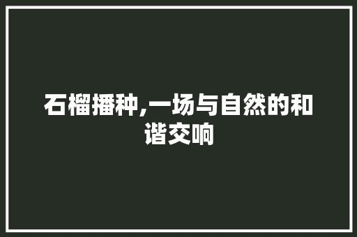 石榴播种,一场与自然的和谐交响