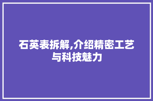 石英表拆解,介绍精密工艺与科技魅力