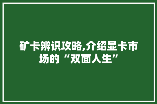 矿卡辨识攻略,介绍显卡市场的“双面人生” WordPress教程