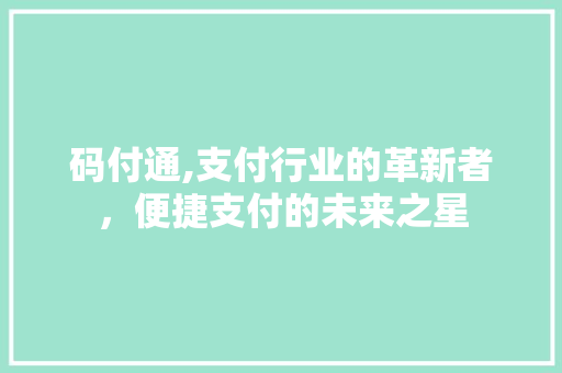 码付通,支付行业的革新者，便捷支付的未来之星