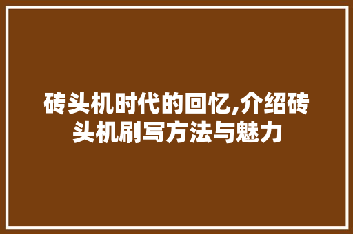 砖头机时代的回忆,介绍砖头机刷写方法与魅力