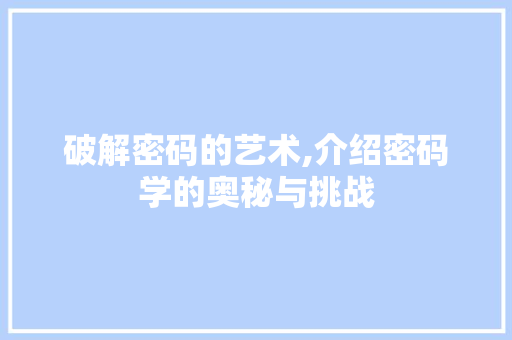 破解密码的艺术,介绍密码学的奥秘与挑战
