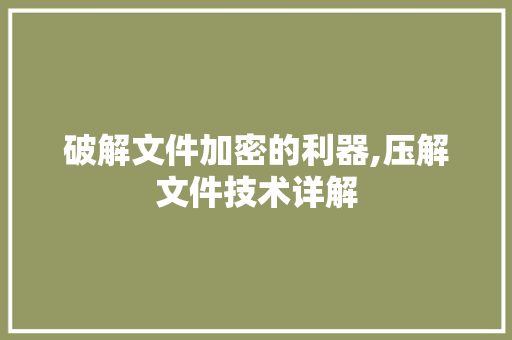 破解文件加密的利器,压解文件技术详解