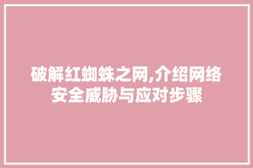 破解红蜘蛛之网,介绍网络安全威胁与应对步骤 友链在线