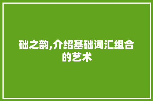 础之韵,介绍基础词汇组合的艺术