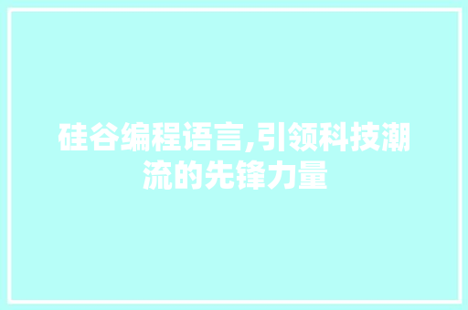 硅谷编程语言,引领科技潮流的先锋力量