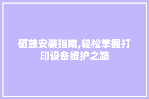 硒鼓安装指南,轻松掌握打印设备维护之路
