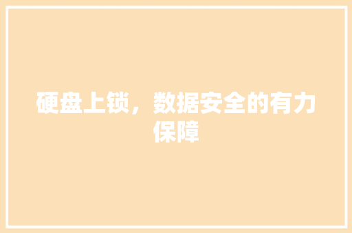硬盘上锁，数据安全的有力保障 SEO教程