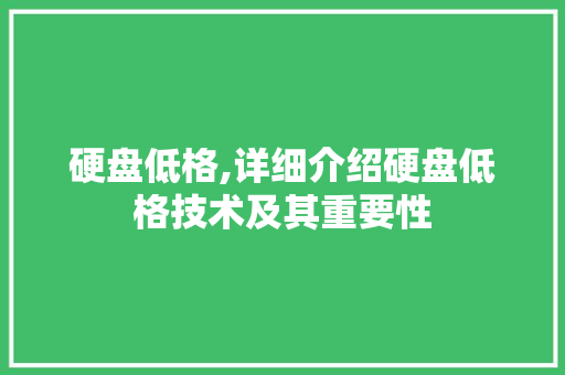 硬盘低格,详细介绍硬盘低格技术及其重要性