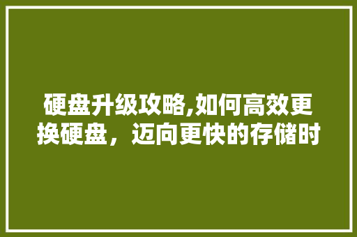硬盘升级攻略,如何高效更换硬盘，迈向更快的存储时代