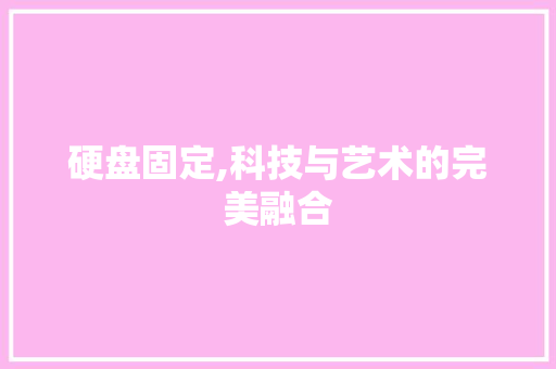 硬盘固定,科技与艺术的完美融合