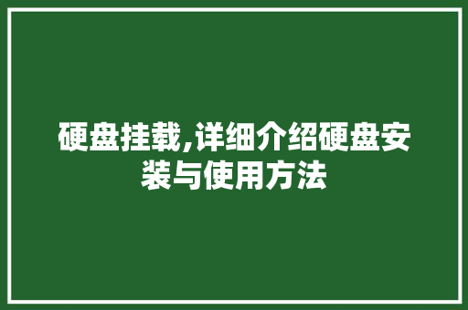 硬盘挂载,详细介绍硬盘安装与使用方法