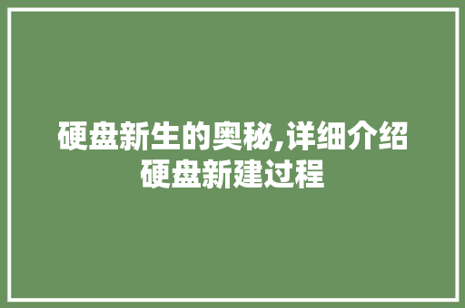 硬盘新生的奥秘,详细介绍硬盘新建过程