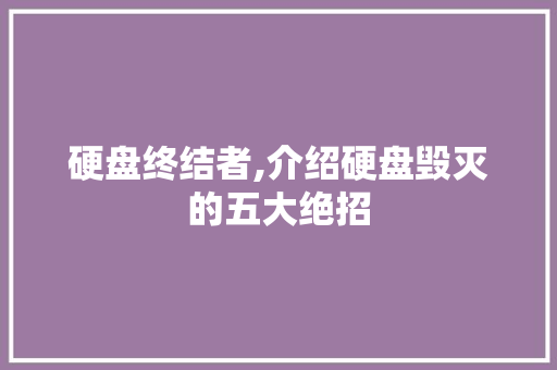 硬盘终结者,介绍硬盘毁灭的五大绝招