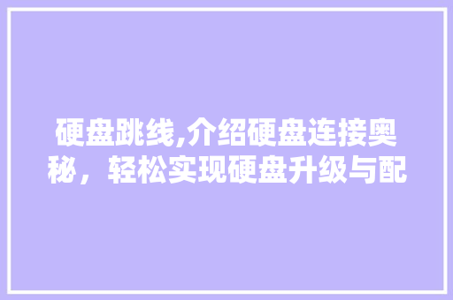 硬盘跳线,介绍硬盘连接奥秘，轻松实现硬盘升级与配置
