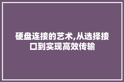 硬盘连接的艺术,从选择接口到实现高效传输
