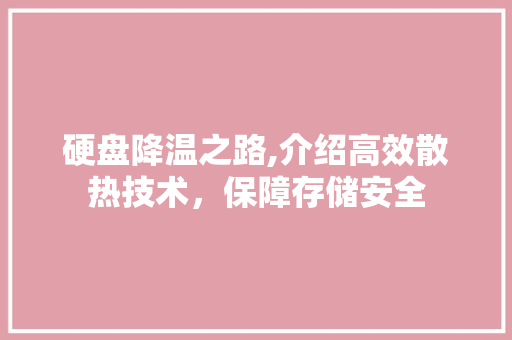 硬盘降温之路,介绍高效散热技术，保障存储安全