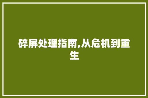 碎屏处理指南,从危机到重生 友链在线