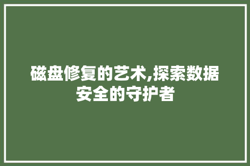 磁盘修复的艺术,探索数据安全的守护者