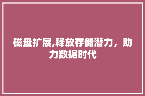 磁盘扩展,释放存储潜力，助力数据时代