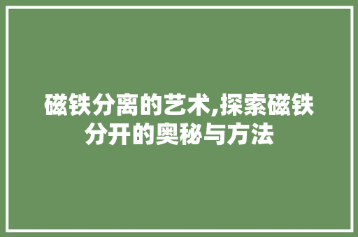 磁铁分离的艺术,探索磁铁分开的奥秘与方法