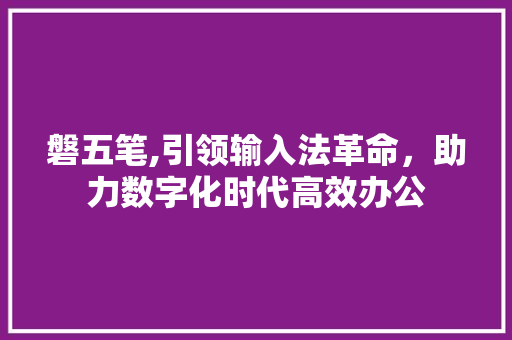 磐五笔,引领输入法革命，助力数字化时代高效办公