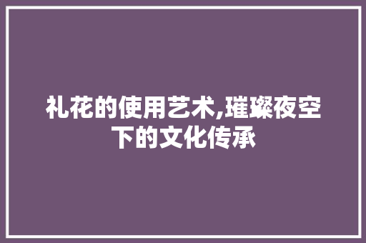礼花的使用艺术,璀璨夜空下的文化传承