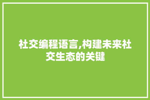 社交编程语言,构建未来社交生态的关键 建站教程