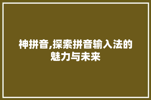 神拼音,探索拼音输入法的魅力与未来 服务器/数据库