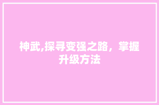 神武,探寻变强之路，掌握升级方法