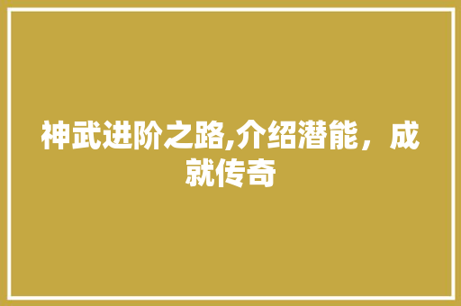 神武进阶之路,介绍潜能，成就传奇