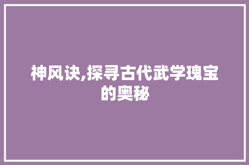 神风诀,探寻古代武学瑰宝的奥秘