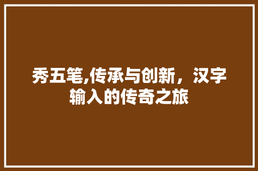 秀五笔,传承与创新，汉字输入的传奇之旅