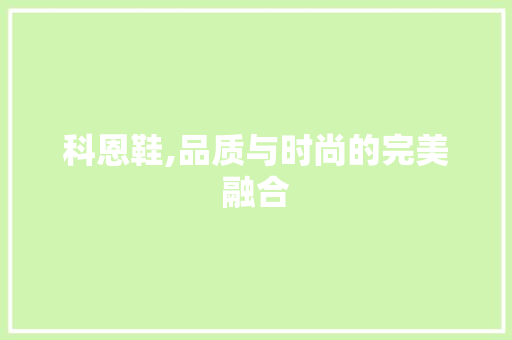 科恩鞋,品质与时尚的完美融合