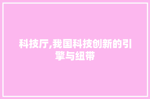 科技厅,我国科技创新的引擎与纽带