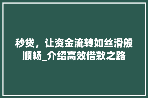 秒贷，让资金流转如丝滑般顺畅_介绍高效借款之路
