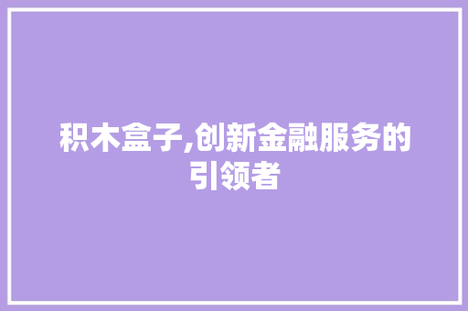 积木盒子,创新金融服务的引领者