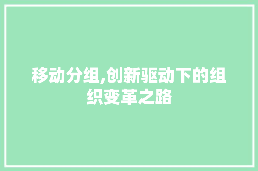 移动分组,创新驱动下的组织变革之路