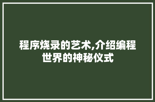 程序烧录的艺术,介绍编程世界的神秘仪式