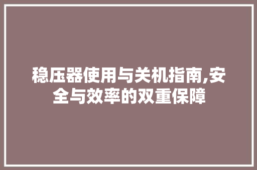 稳压器使用与关机指南,安全与效率的双重保障