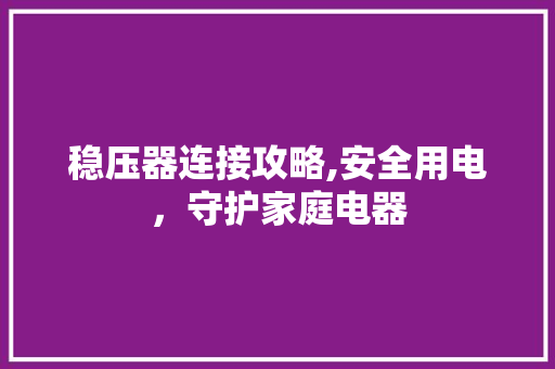 稳压器连接攻略,安全用电，守护家庭电器