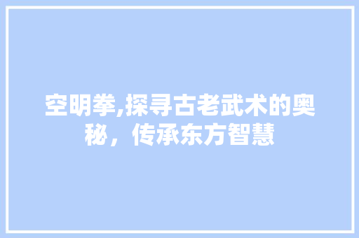 空明拳,探寻古老武术的奥秘，传承东方智慧
