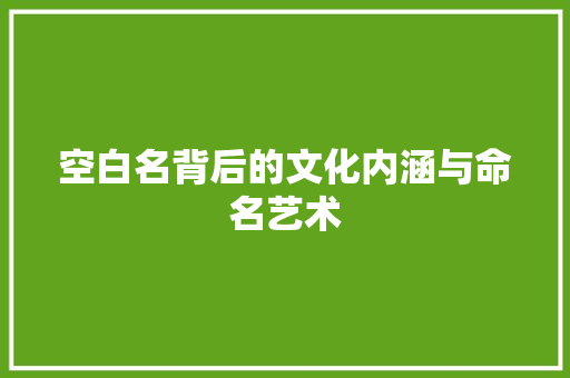 空白名背后的文化内涵与命名艺术
