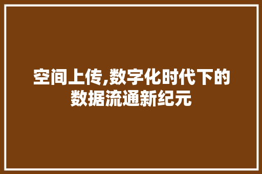 空间上传,数字化时代下的数据流通新纪元