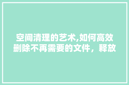 空间清理的艺术,如何高效删除不再需要的文件，释放存储空间