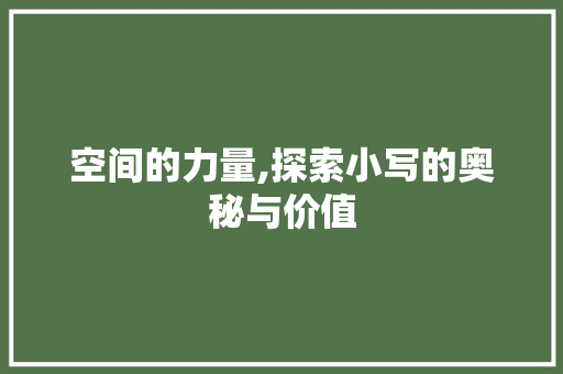 空间的力量,探索小写的奥秘与价值